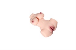 Мастурбатор - торс, WARM713 - фото 24497