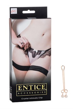 Зажим для половых губ Entice Crystal Intimate Clip с кристаллом золотистый - фото 8864