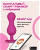 Gvibe Gballs 3 App Petal Rose - умный тренажёр Кегеля, 8х3 см, Розовый - фото 17973