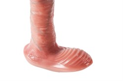 Фаллоимитатор с поступательным движением L 16 см D 3 см, NY039 - фото 24405